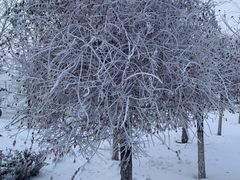 -华晨宝马铁西工厂