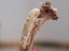 -蒙古缘饭店(额尔古纳云杉宾馆店)