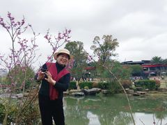 -桃花岭景区