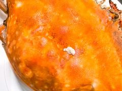 -北塘海鲜·天津菜(大光明桥旗舰店)