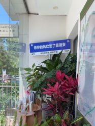 -薇薇安花系SPA