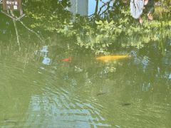 -成都市活水公园