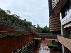-香港大学