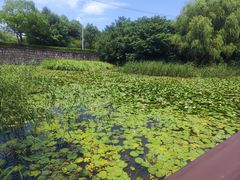 -苏州太湖国家湿地公园