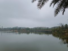 -枫香湖儿童公园