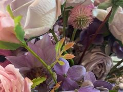 -PARFUM FLORAL花境法餐(南京首店)