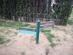 -天津津利华酒店