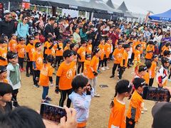 -春花秋色城市公园