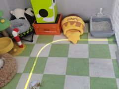 -上海浦东smart汽车全功能店(金桥店)