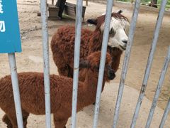 -西安秦岭野生动物园