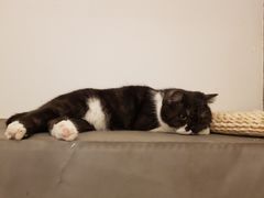 -丁香西饼屋(桂林路店)