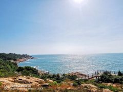 -广东惠东海龟国家级自然保护区