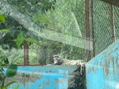 -青藏高原野生动物园