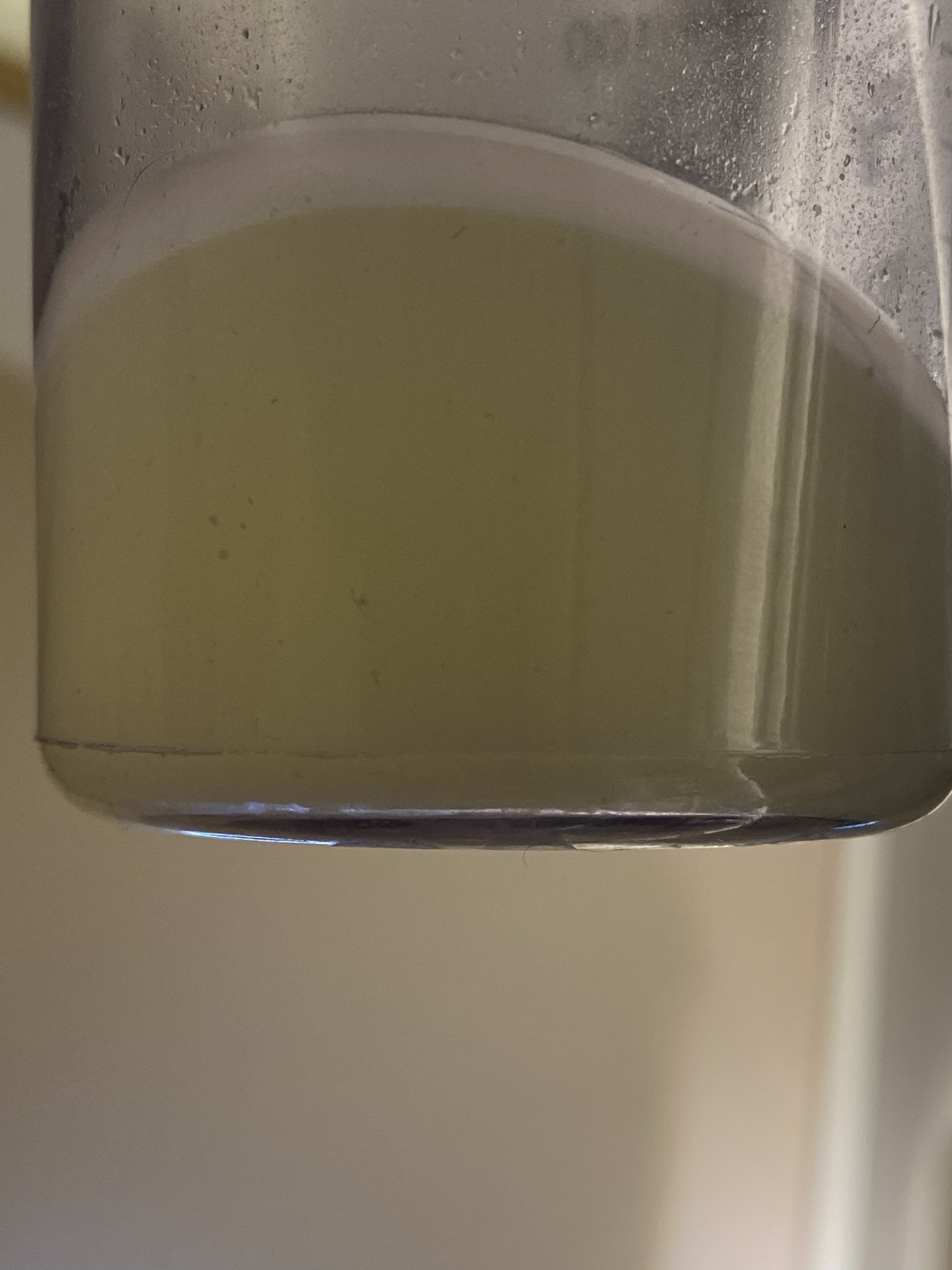 这一瓶脏水都是毛孔里的污垢和油脂,浑浊成这样也是想都不敢想,里面