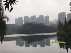 -重庆彩云湖湿地公园