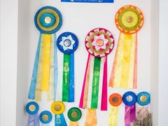 -Husky Go! 哈士奇体验馆·宠物咖啡厅狗咖