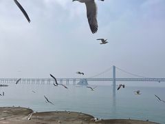 -星海广场