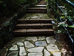 -香山公园