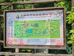 -上海海湾国家森林公园