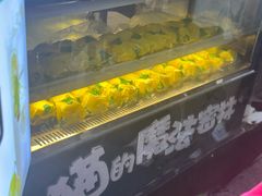-猫的魔法密林(衣裳街店)