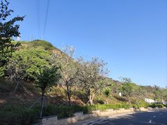 -小南山公园