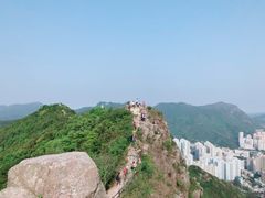 -狮子山郊野公园