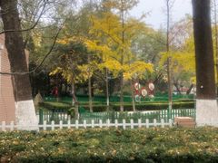 -双榆树公园
