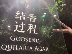 -香市公园-中国沉香文化博物馆