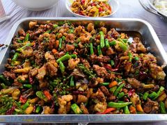 -铁山坪森林公园