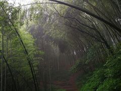 -西湖风景区十里琅珰-五云山