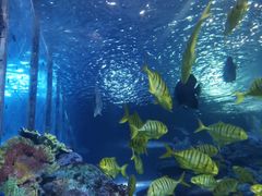 -太平洋海底世界