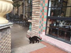 -马勒别墅·中餐厅