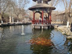 -大悲禅寺