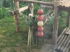 -大连森林动物园