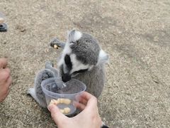 -齐齐哈尔龙沙动植物园