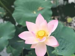 -丰台花园