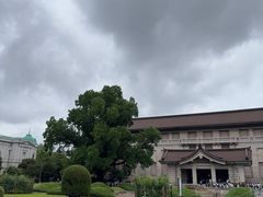 -东京国立博物馆