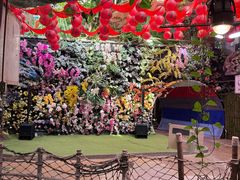 -正佳雨林生态植物园