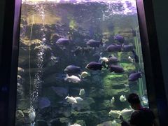 -成都浩海立方海洋公园