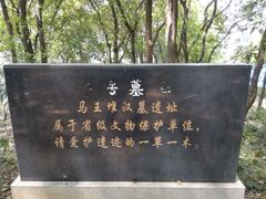 -马王堆汉墓遗址
