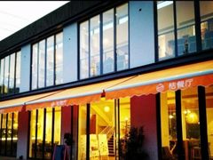 -前小桔亲子创意农场·草莓采摘·露营烧烤