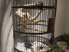 -清真·京华源铜锅涮肉(丰庆店)