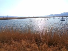 -野鸭湖国家湿地公园