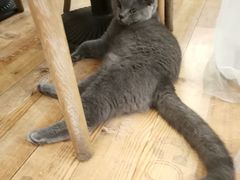 -么么咖啡(燕郊店)