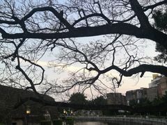 -石炮台公园