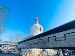-护国法轮寺