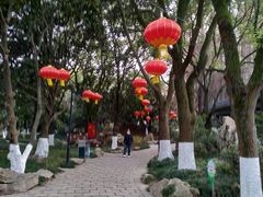 -瀛洲公园