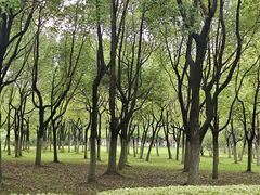 -滨湖塘西河公园
