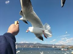 -醉美云南·云南菜主题餐厅(昆明站北京路双龙商场店)