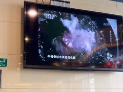 -直隶安家罩饼(复兴路店)